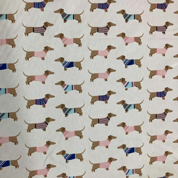 Gabardina perrito